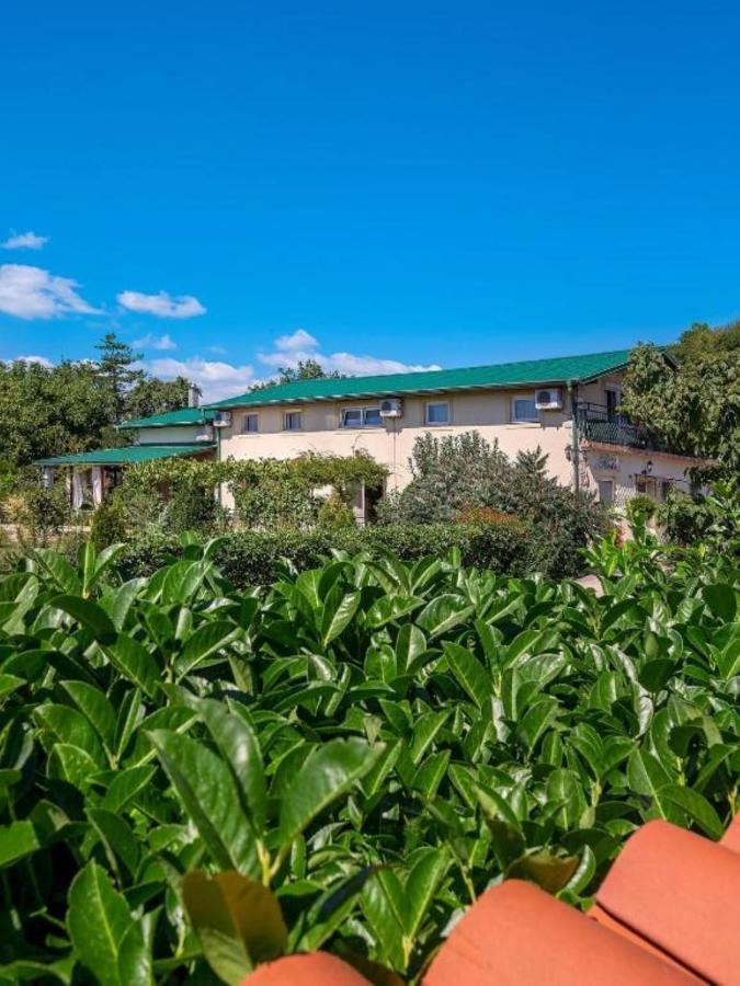 Apartments Villa Roza Drazice Екстер'єр фото