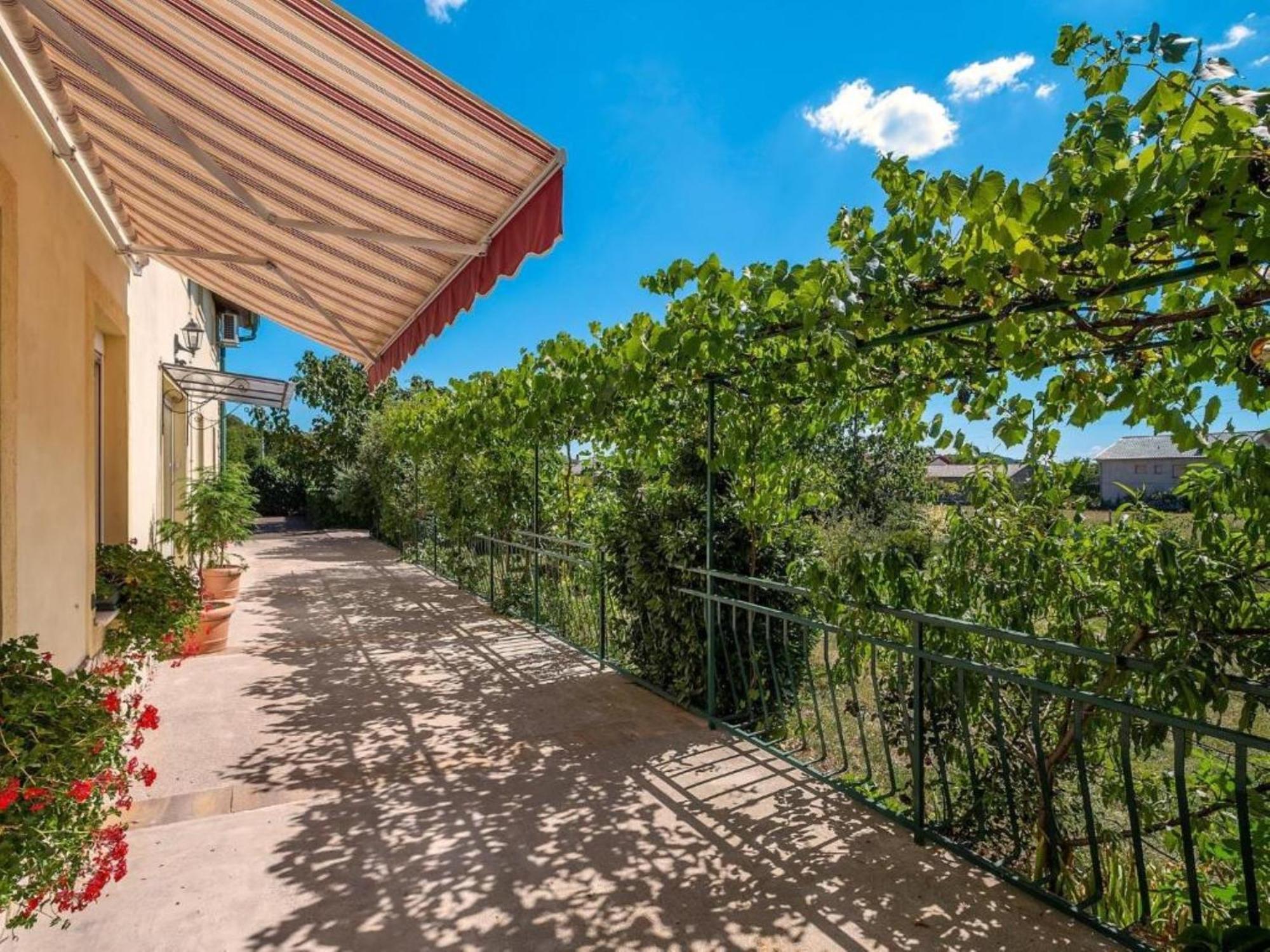 Apartments Villa Roza Drazice Номер фото